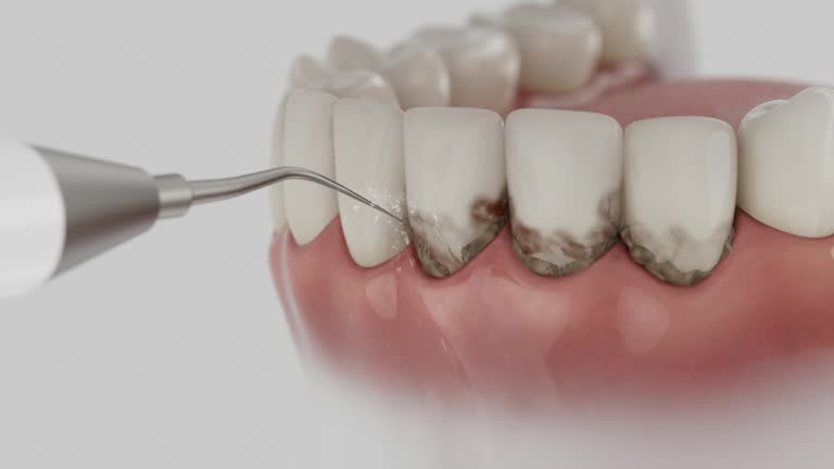 Reliable Dental contractor in East Ridge, TN by Dentist Open Now